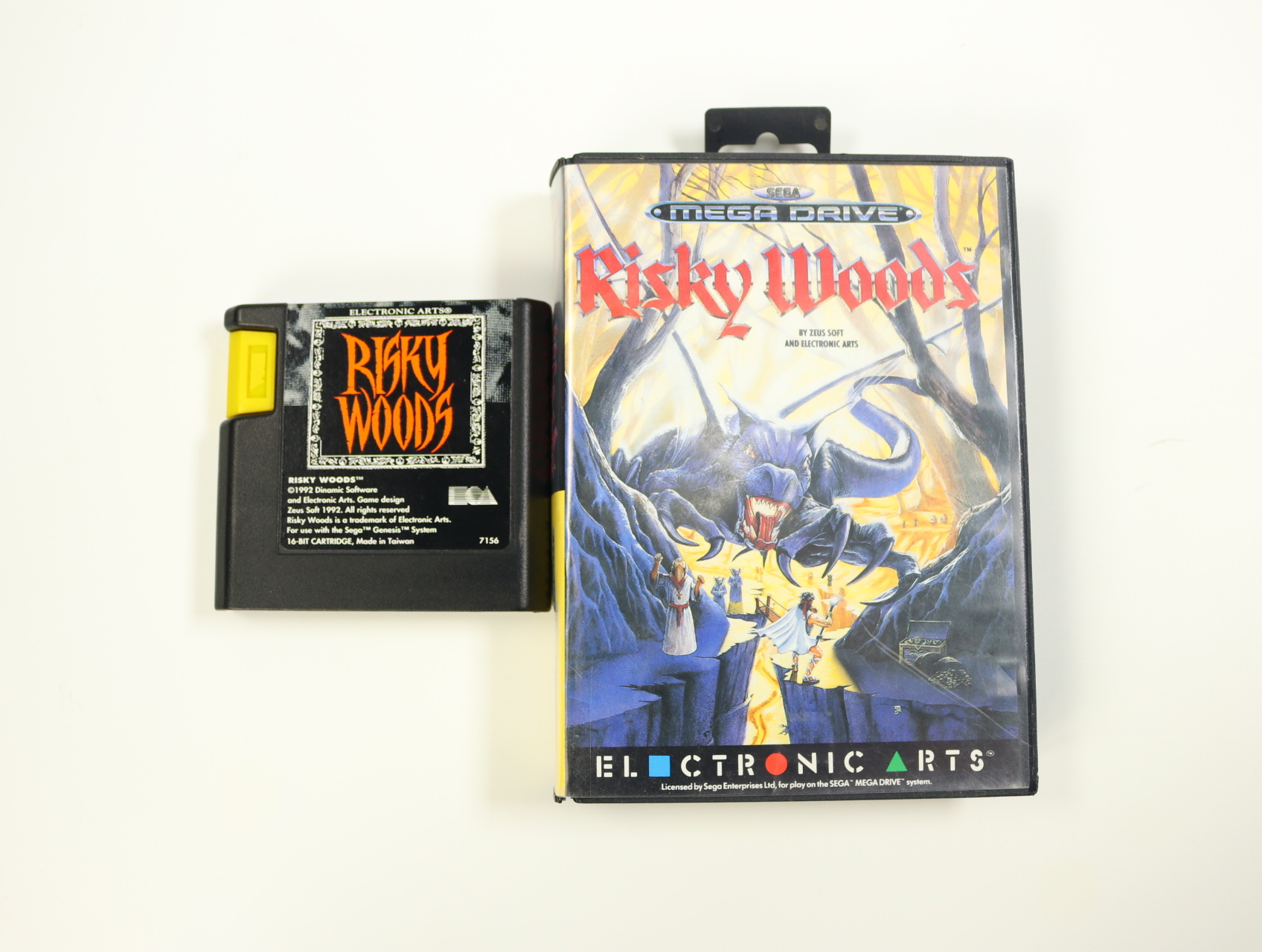 SEGA Mega Drive - Risky Woods [No Manual]
