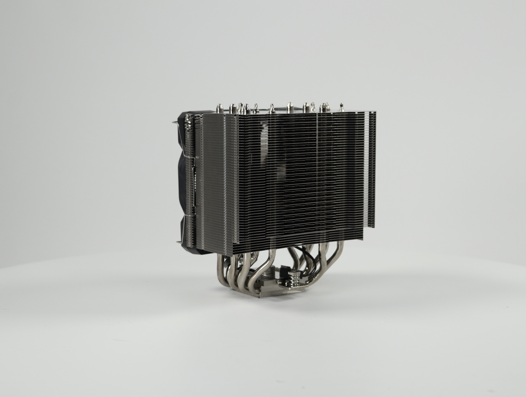 CGR-FZAE85 - COUGAR - productfoto 2