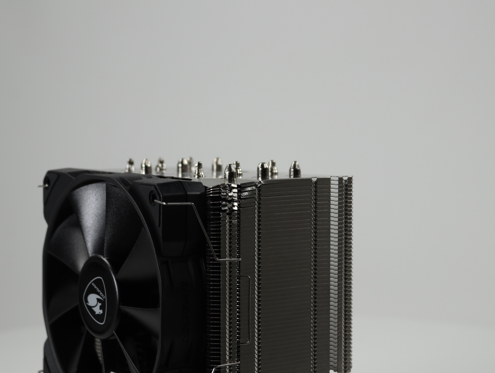 CGR-FZAE85 - COUGAR - productfoto 3