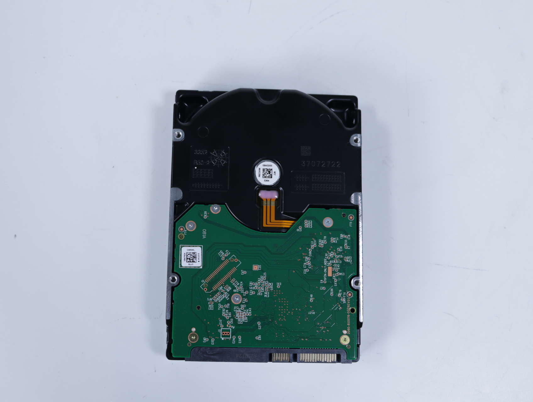 Red Pro (2025) (512MB cache), 10TB - Western Digital - productfoto 2