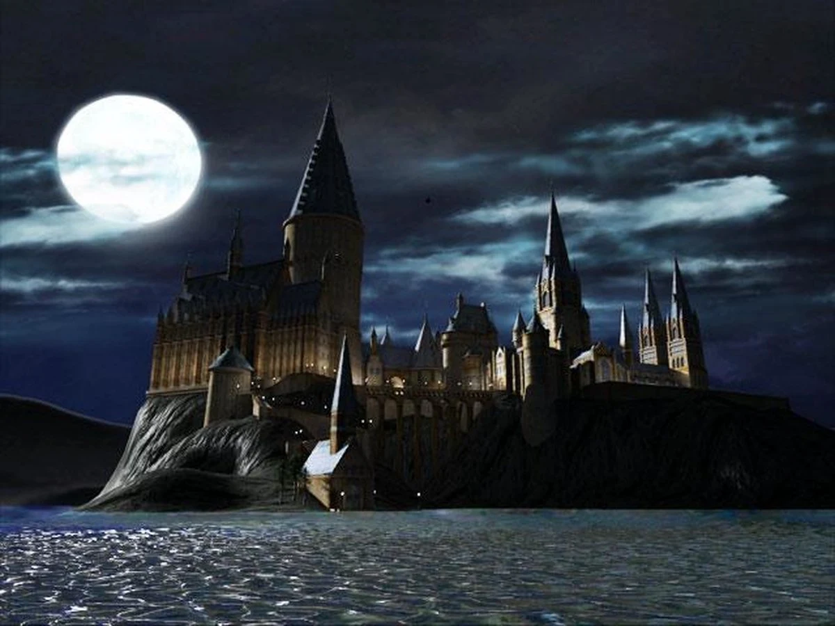 LEGO Harry Potter Collection - productfoto 6